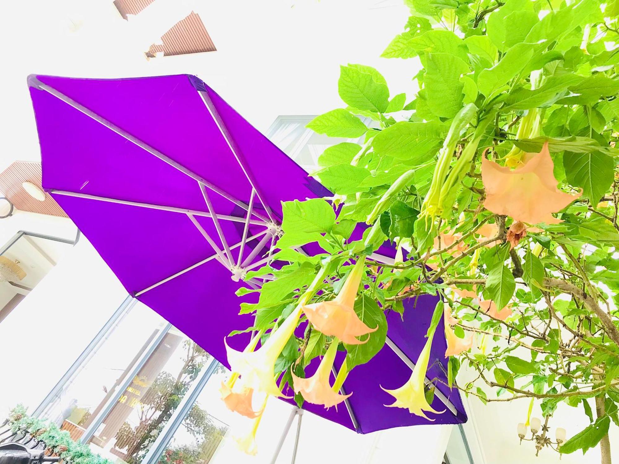 Hotel Hoa NáNg Bảo Lộc Esterno foto