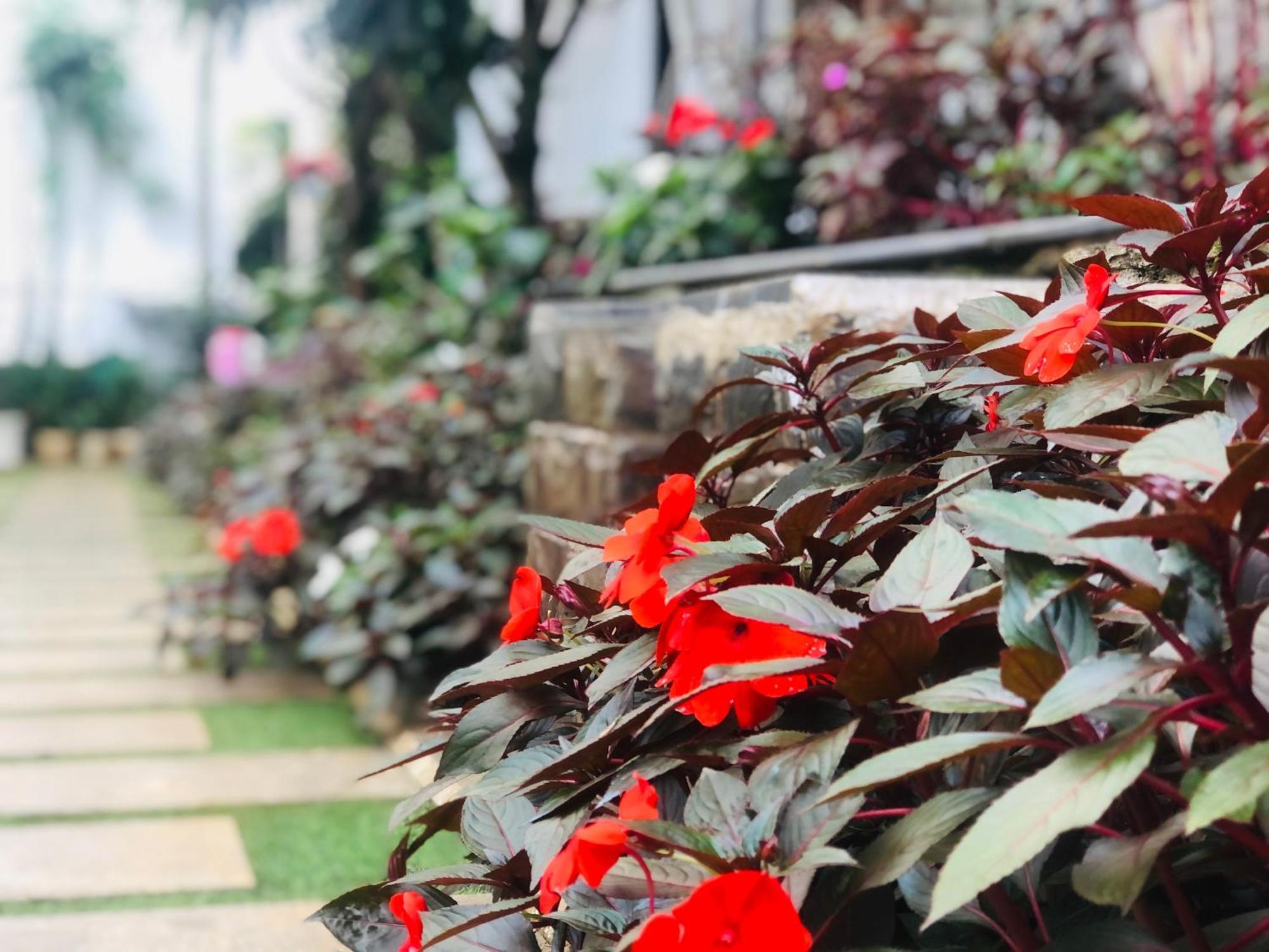 Hotel Hoa NáNg Bảo Lộc Esterno foto